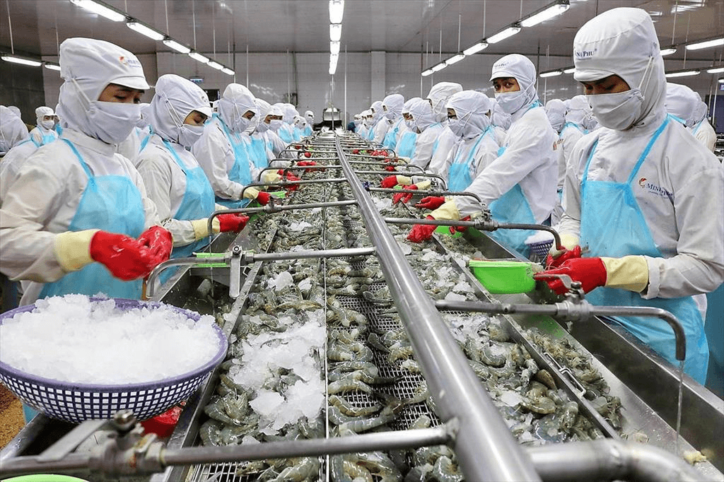 Vietnam’s seafood exports soared impressively